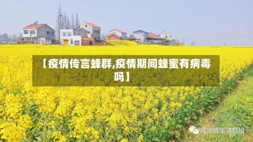 【疫情传言蜂群,疫情期间蜂蜜有病毒吗】-第1张图片