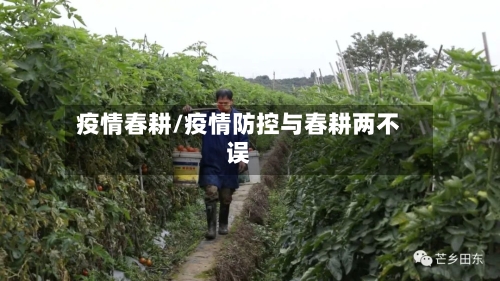 疫情春耕/疫情防控与春耕两不误-第1张图片