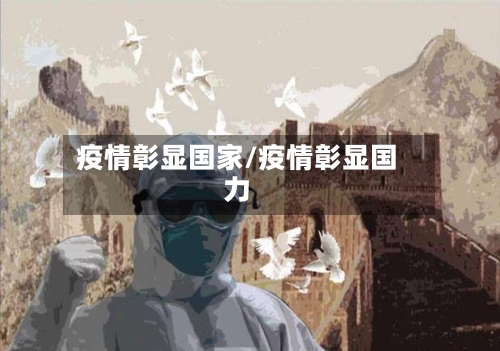 疫情彰显国家/疫情彰显国力-第3张图片