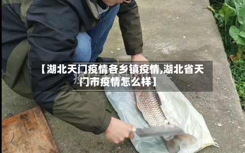 【湖北天门疫情各乡镇疫情,湖北省天门市疫情怎么样】-第1张图片