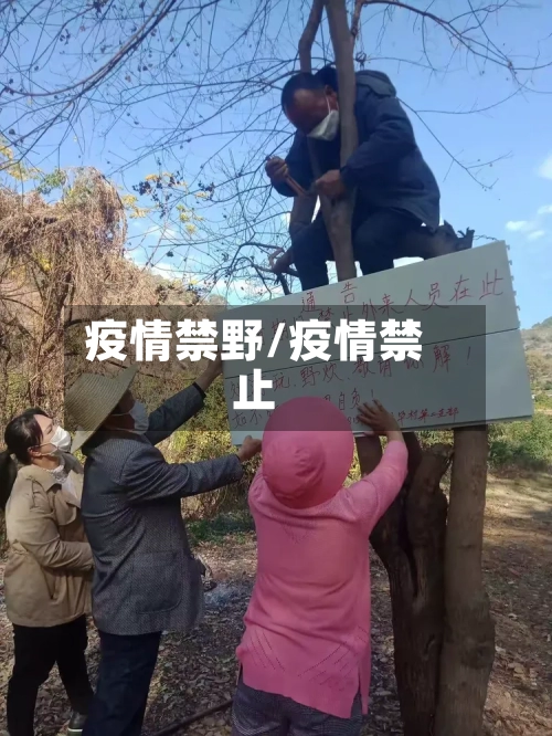 疫情禁野/疫情禁止-第1张图片
