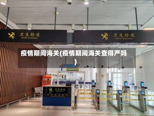 疫情期间海关(疫情期间海关查得严吗)-第1张图片