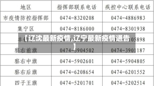 【辽沈最新疫情,辽宁最新疫情通告】-第2张图片