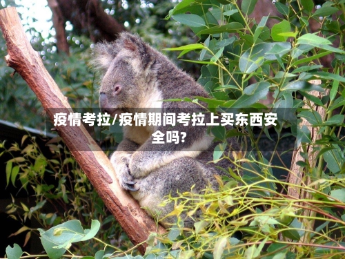 疫情考拉/疫情期间考拉上买东西安全吗?-第1张图片