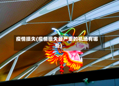 疫情损失(疫情损失最严重的机场有哪些)-第1张图片