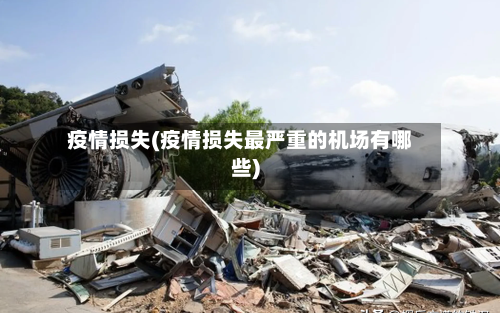 疫情损失(疫情损失最严重的机场有哪些)-第3张图片