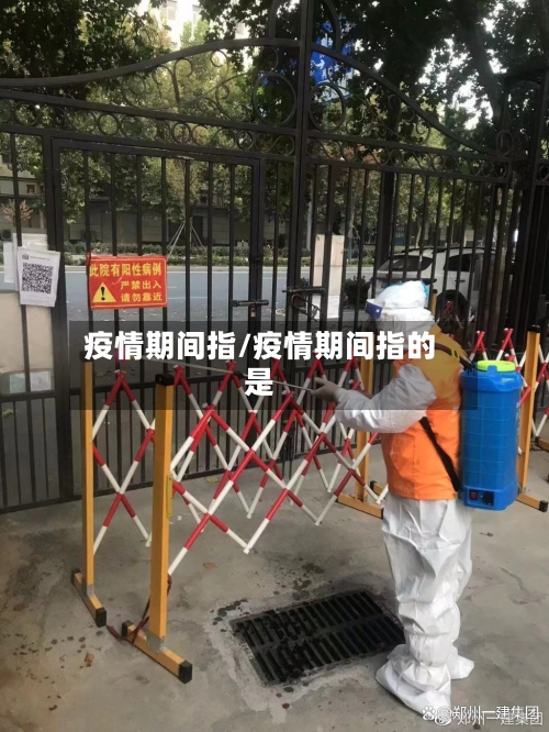 疫情期间指/疫情期间指的是-第2张图片