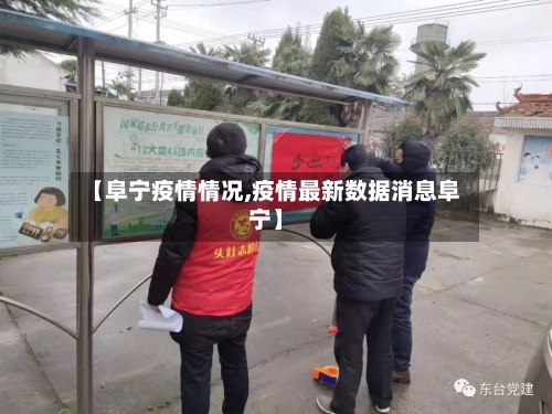 【阜宁疫情情况,疫情最新数据消息阜宁】-第3张图片