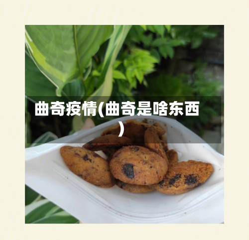 曲奇疫情(曲奇是啥东西)-第2张图片