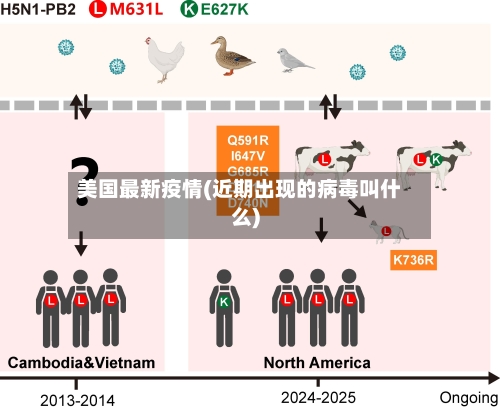 美国最新疫情(近期出现的病毒叫什么)-第2张图片