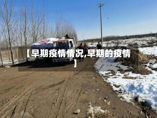 【早期疫情情况,早期的疫情】-第2张图片