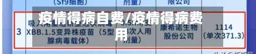 疫情得病自费/疫情得病费用-第2张图片