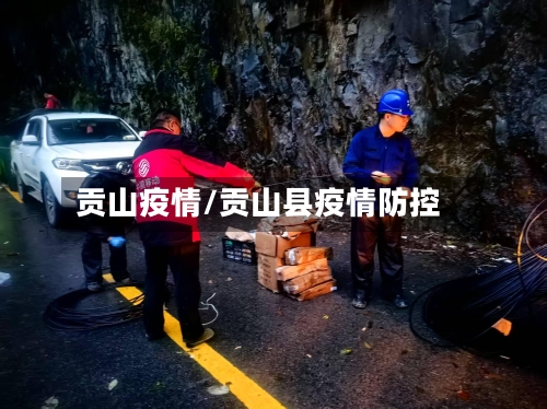 贡山疫情/贡山县疫情防控-第2张图片