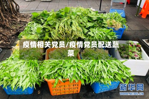 疫情相关党员/疫情党员配送蔬菜-第3张图片