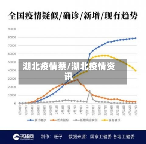 湖北疫情蔡/湖北疫情资讯-第3张图片