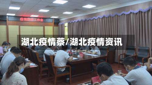 湖北疫情蔡/湖北疫情资讯-第2张图片