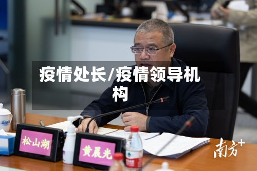 疫情处长/疫情领导机构-第3张图片