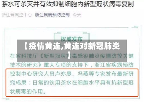 【疫情黄连,黄连对新冠肺炎】-第3张图片