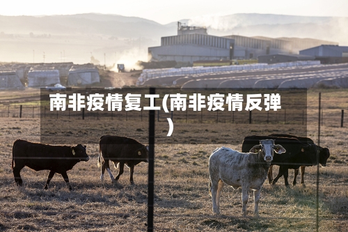 南非疫情复工(南非疫情反弹)-第1张图片