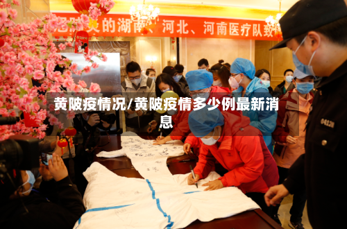 黄陂疫情况/黄陂疫情多少例最新消息-第1张图片