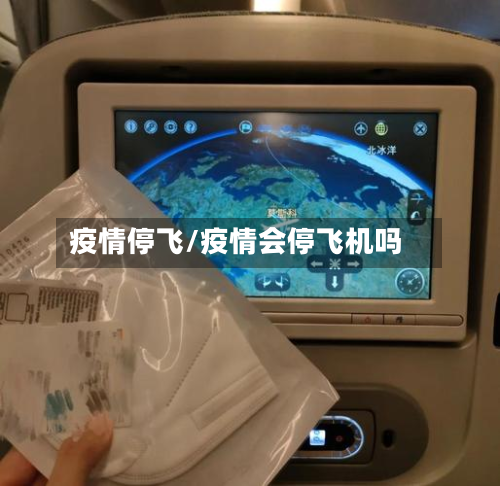 疫情停飞/疫情会停飞机吗-第2张图片