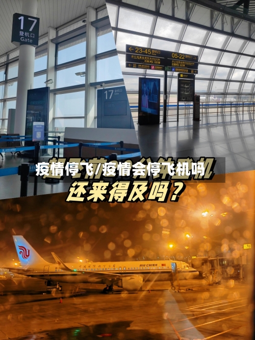 疫情停飞/疫情会停飞机吗-第3张图片