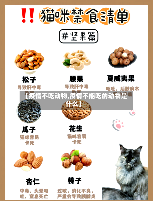 【疫情不吃动物,疫情不能吃的动物是什么】-第2张图片