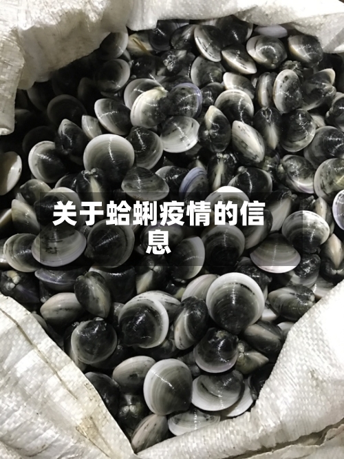 关于蛤蜊疫情的信息-第1张图片