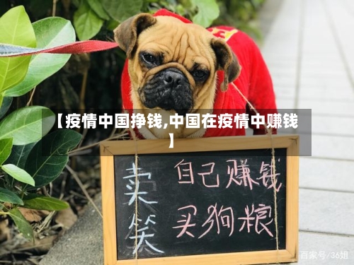 【疫情中国挣钱,中国在疫情中赚钱】-第2张图片