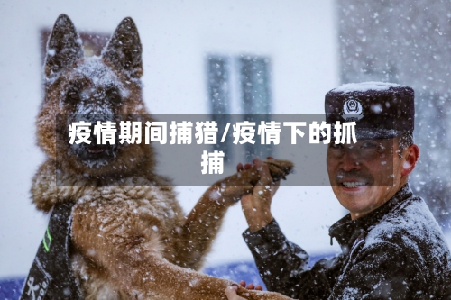疫情期间捕猎/疫情下的抓捕-第1张图片
