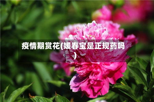疫情期赏花(媛春宝是正规药吗)-第1张图片