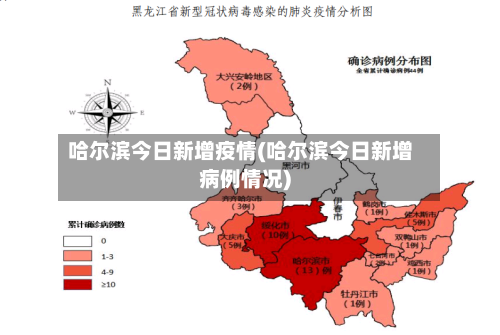 哈尔滨今日新增疫情(哈尔滨今日新增病例情况)-第2张图片