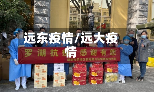 远东疫情/远大疫情-第1张图片