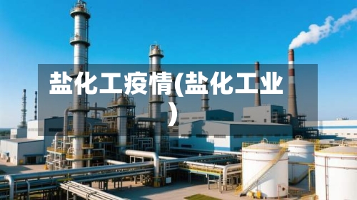 盐化工疫情(盐化工业)-第1张图片