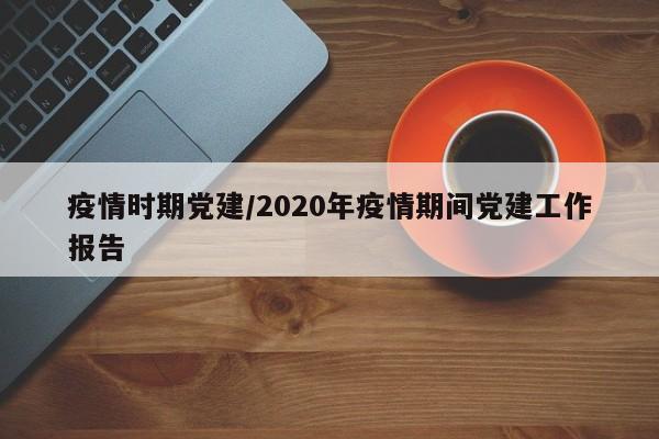 疫情时期党建/2020年疫情期间党建工作报告